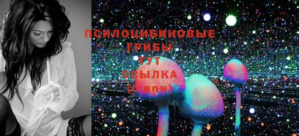 хмурый Алексеевка
