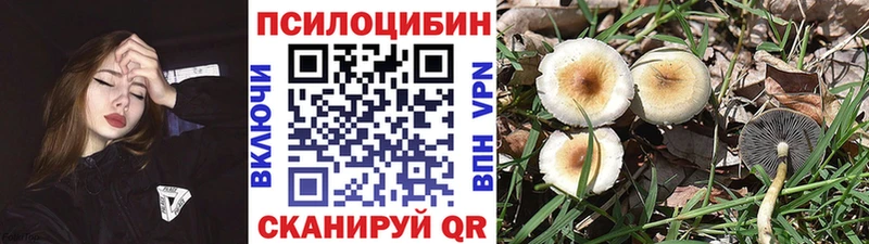 Галлюциногенные грибы прущие грибы  Островной 